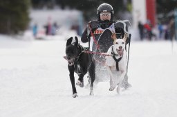 Lenzerheide 2013